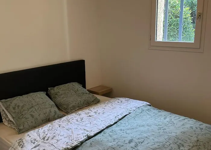 T3 Vue Avec Piscine *